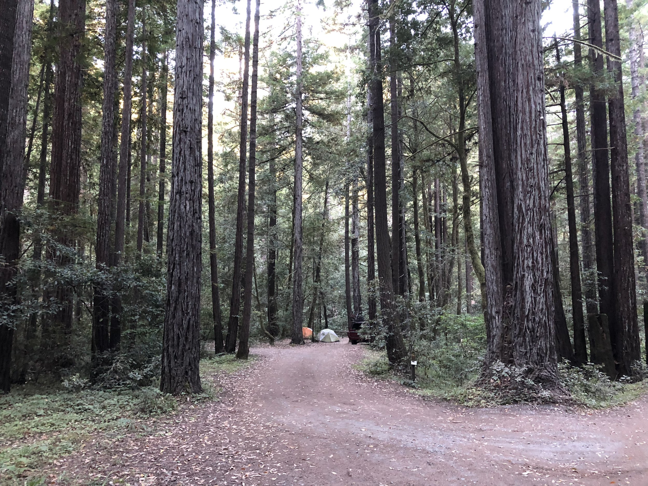 Campsite #6: Big River