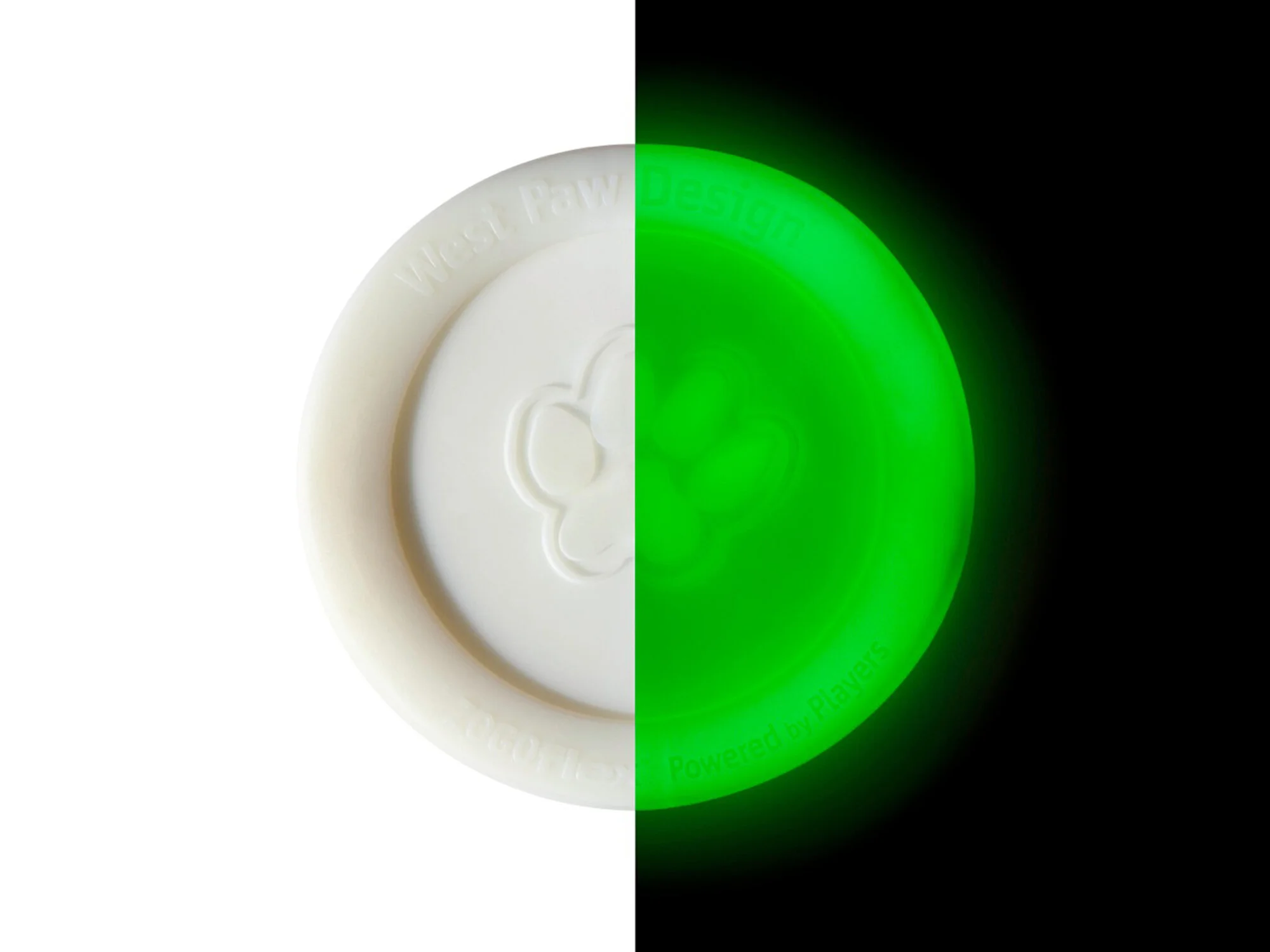 ZG029GLO_ZISC_SMALL_2.jpg