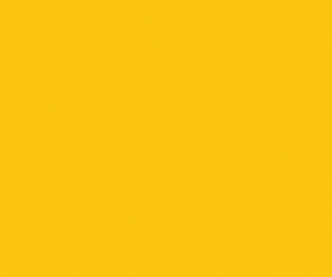 Wells_Banner_FrankYellow.gif
