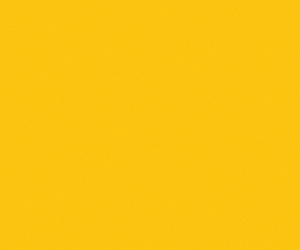Wells_Banner_ZBBwithFrank.gif