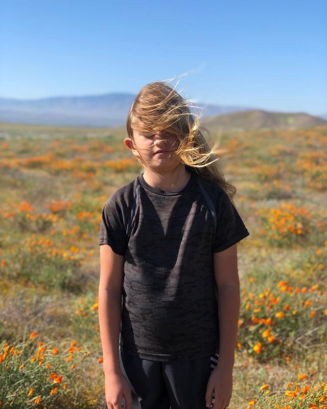 Preteen in the Poppy Field. #unimpressed 🙃