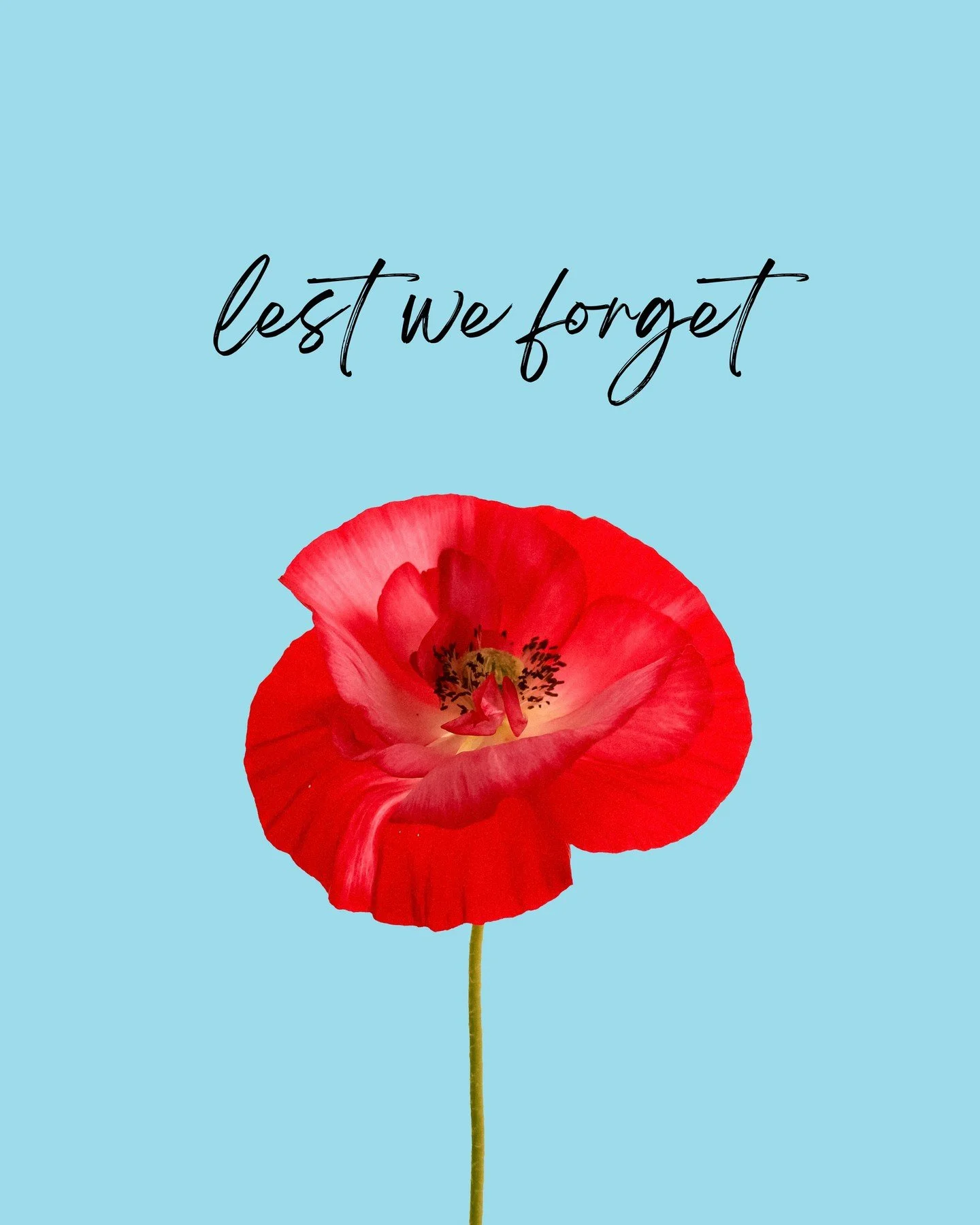 Today, we pause to remember and honor those who served and sacrificed for our freedom. ❤️⁠
⁠
Their courage, strength, and dedication will never be forgotten.⁠
⁠
Lest we forget.⁠
⁠