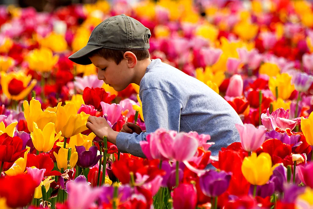 The Science of Scent