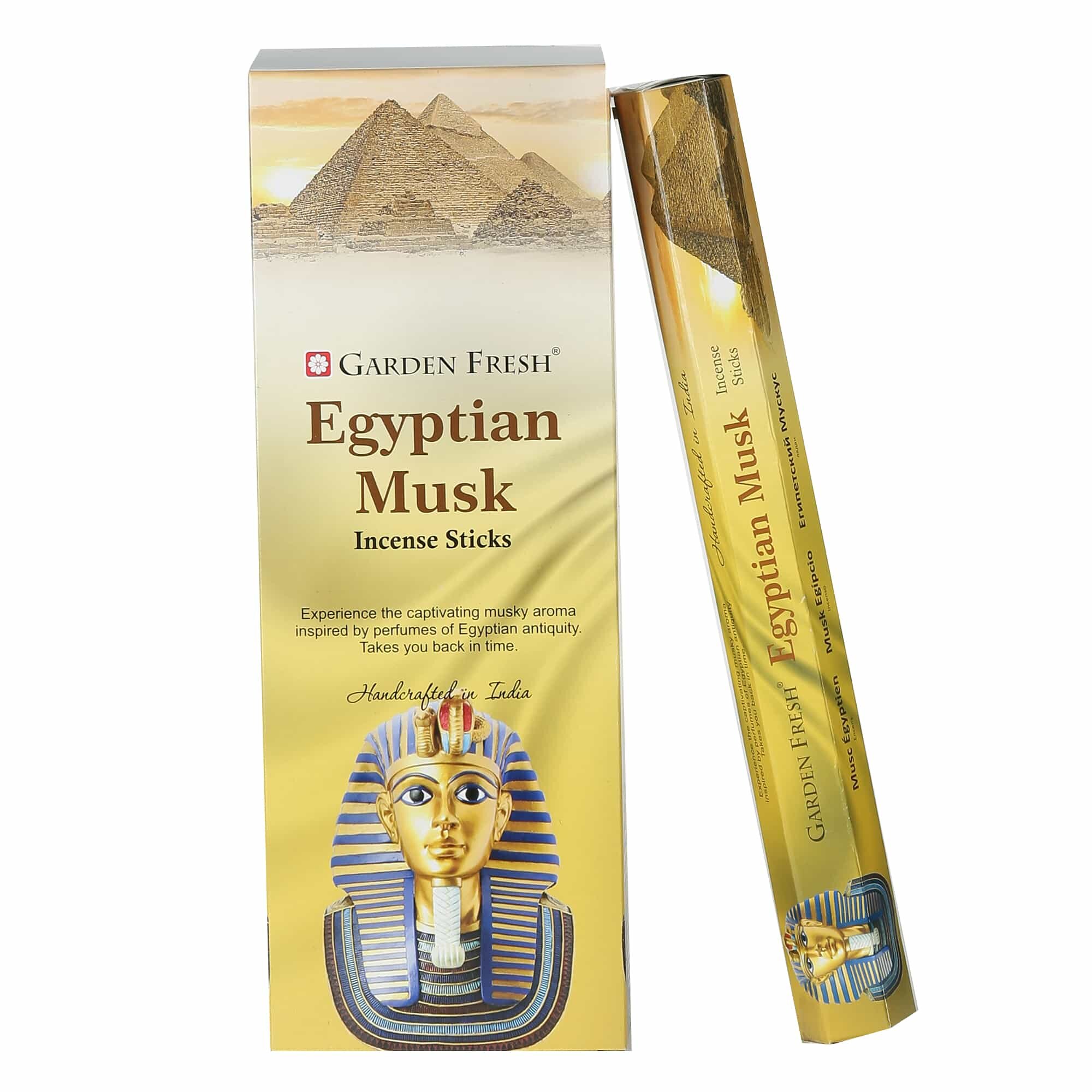 Egyptian Musk.jpg