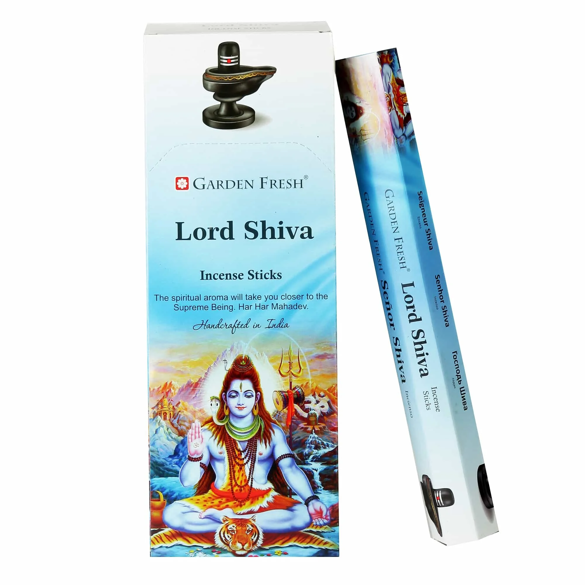 Lord Shiva.jpg