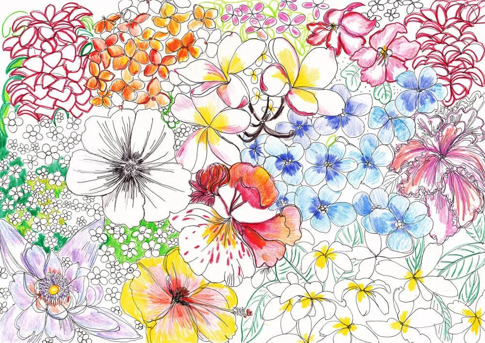 Illustration tropical flowers_low res72_Caroline Angiulo_elevee.jpg