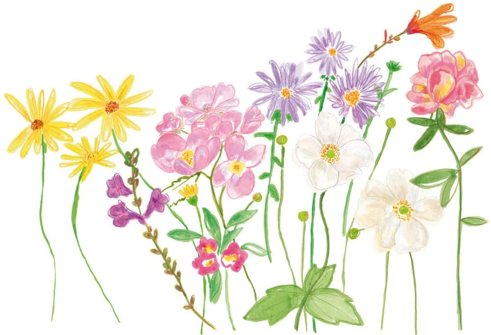 Seaside Floral illustration 1_Caroline Angiulo_lowres elevee.jpg