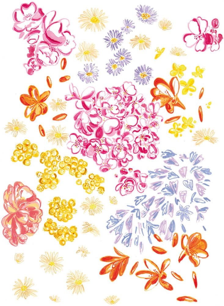 Seaside Floral illustration 2_Caroline Angiulo_lowres elevee.jpg