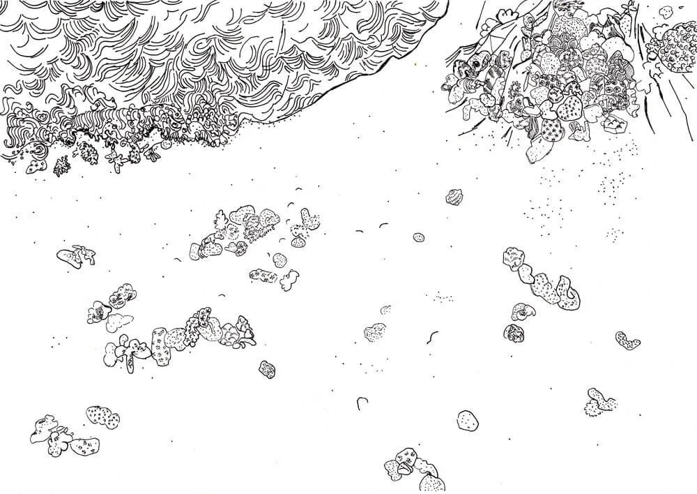 Seaside illustration_Caroline Angiulo_lowres elevee.jpg