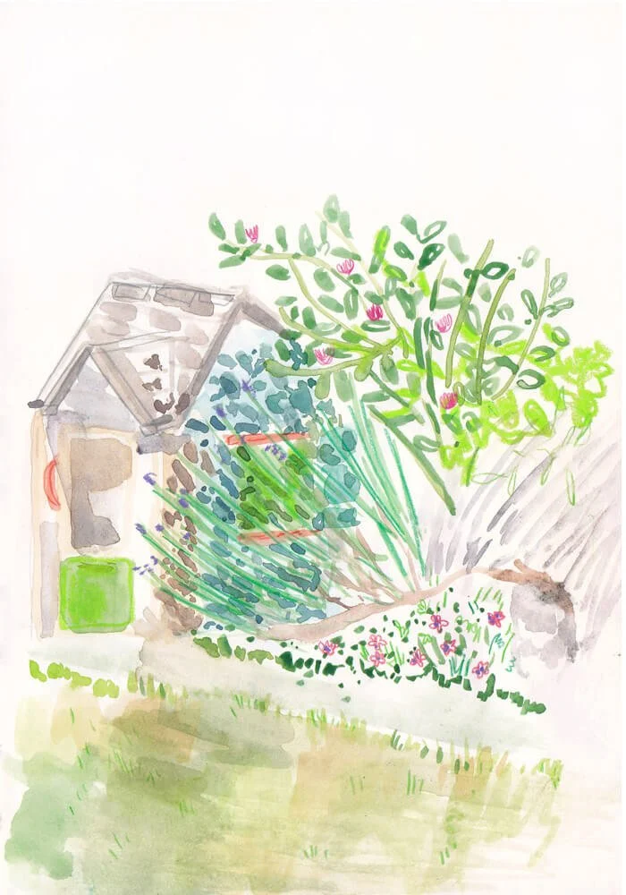 Illustration garden kid's playhouse_Caroline Angiulo.jpg