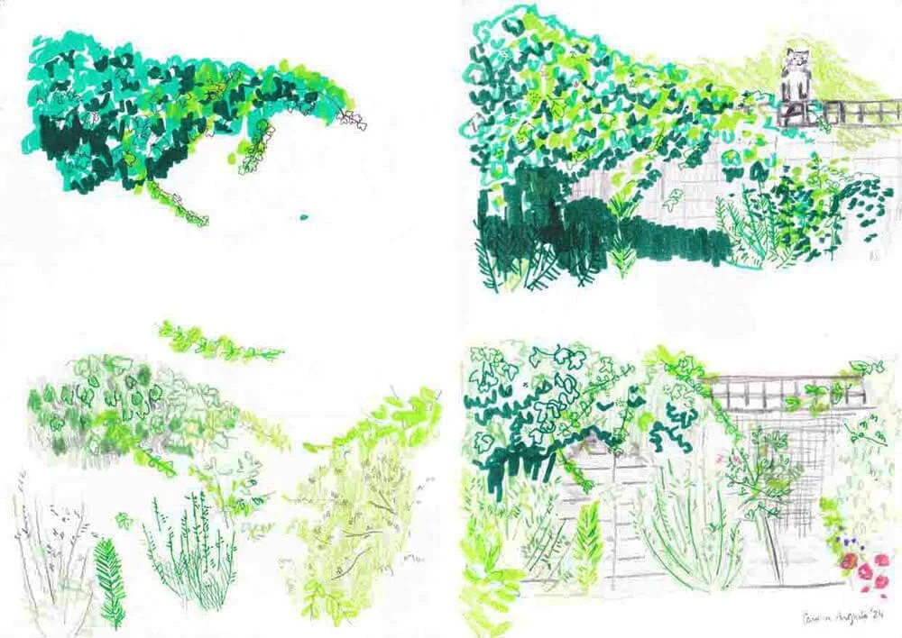 Illustration Garden London_Caroline Angiulo_NEW.jpg