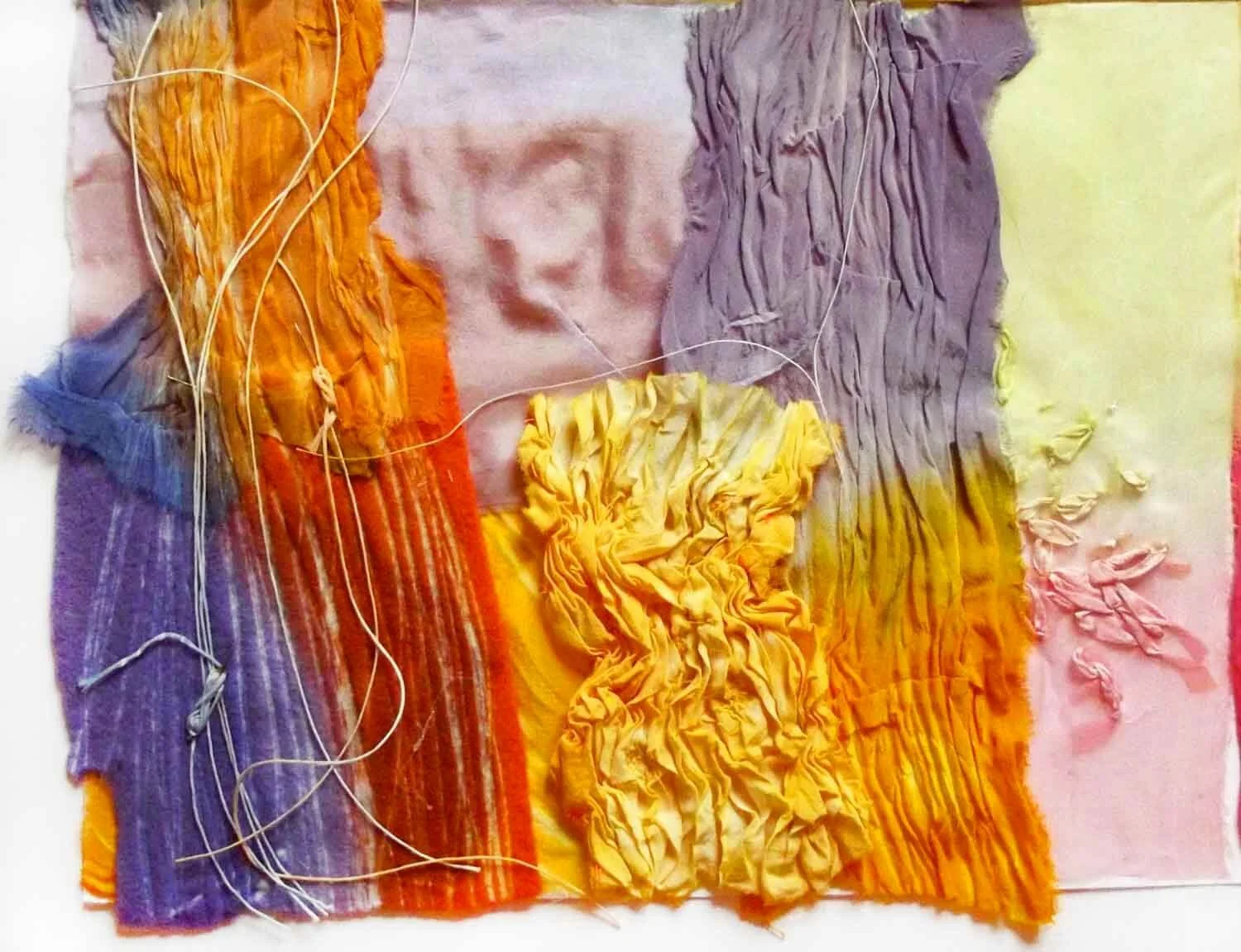 Botanical Miniatures hand dyed samples purple orange3_Caroline Angiulo.jpg