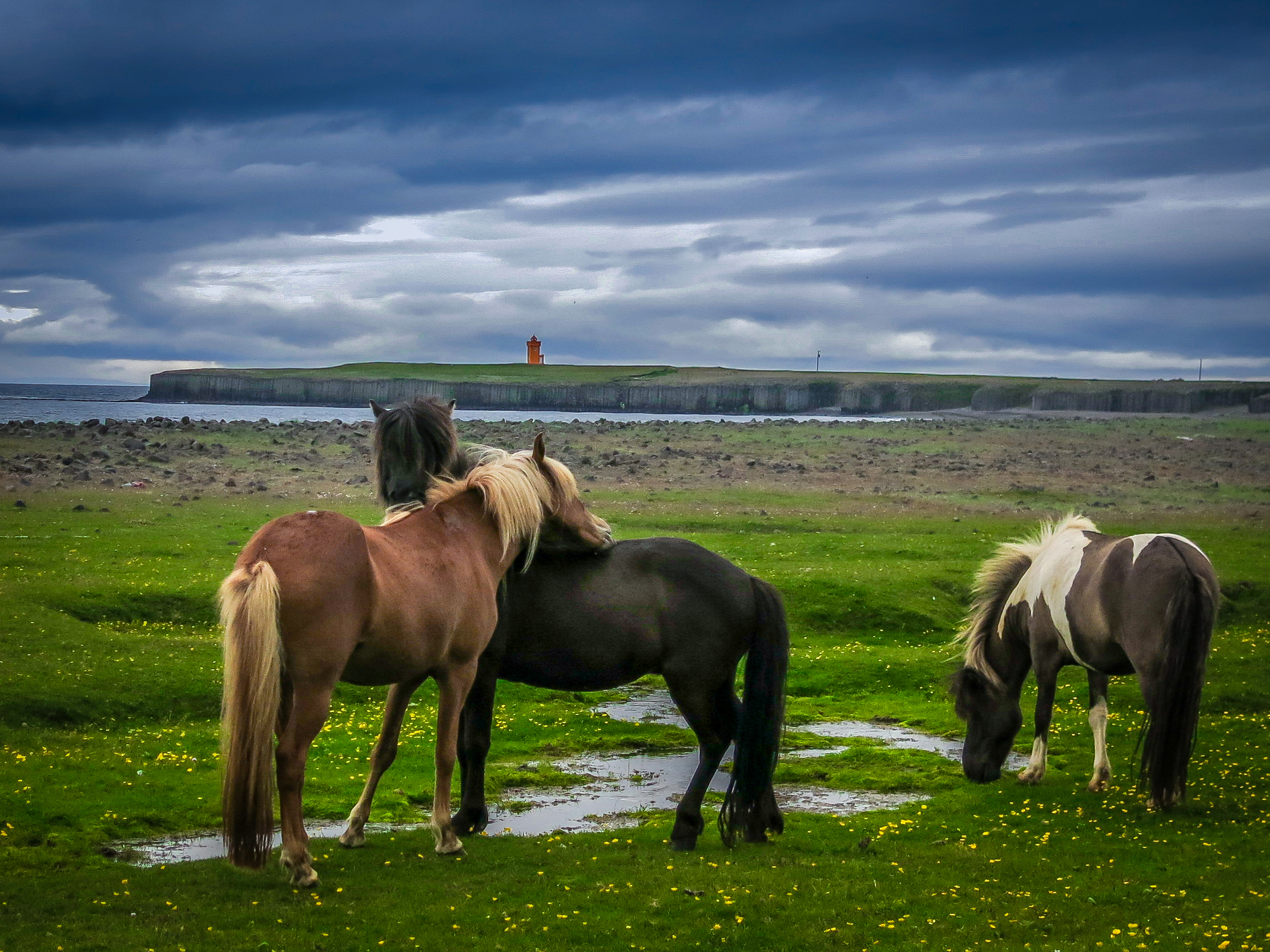 Go Horseriding