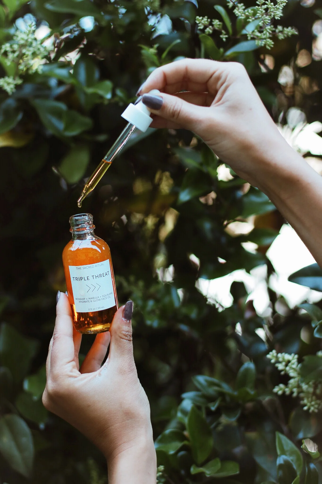 AfterlightImage 5.JPG