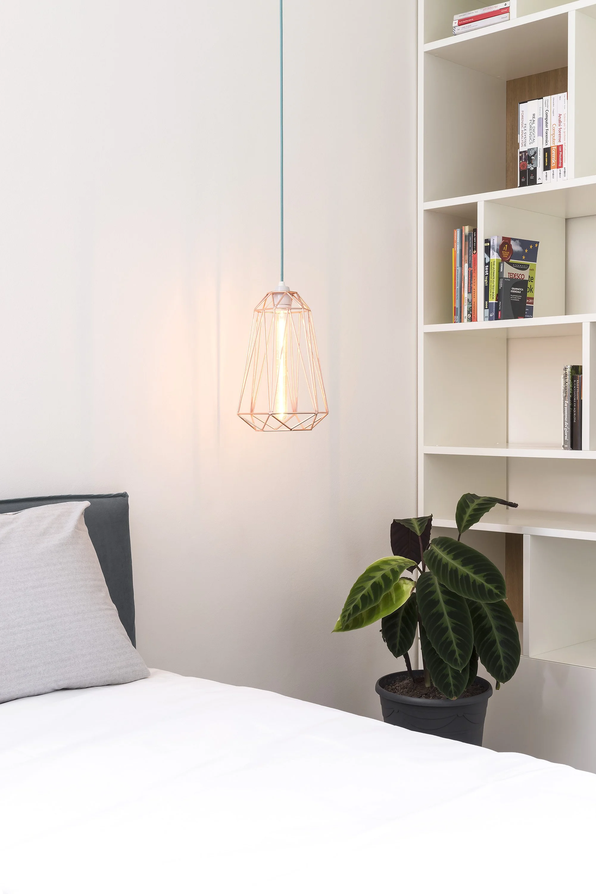 Studio dxp IC (3).jpg