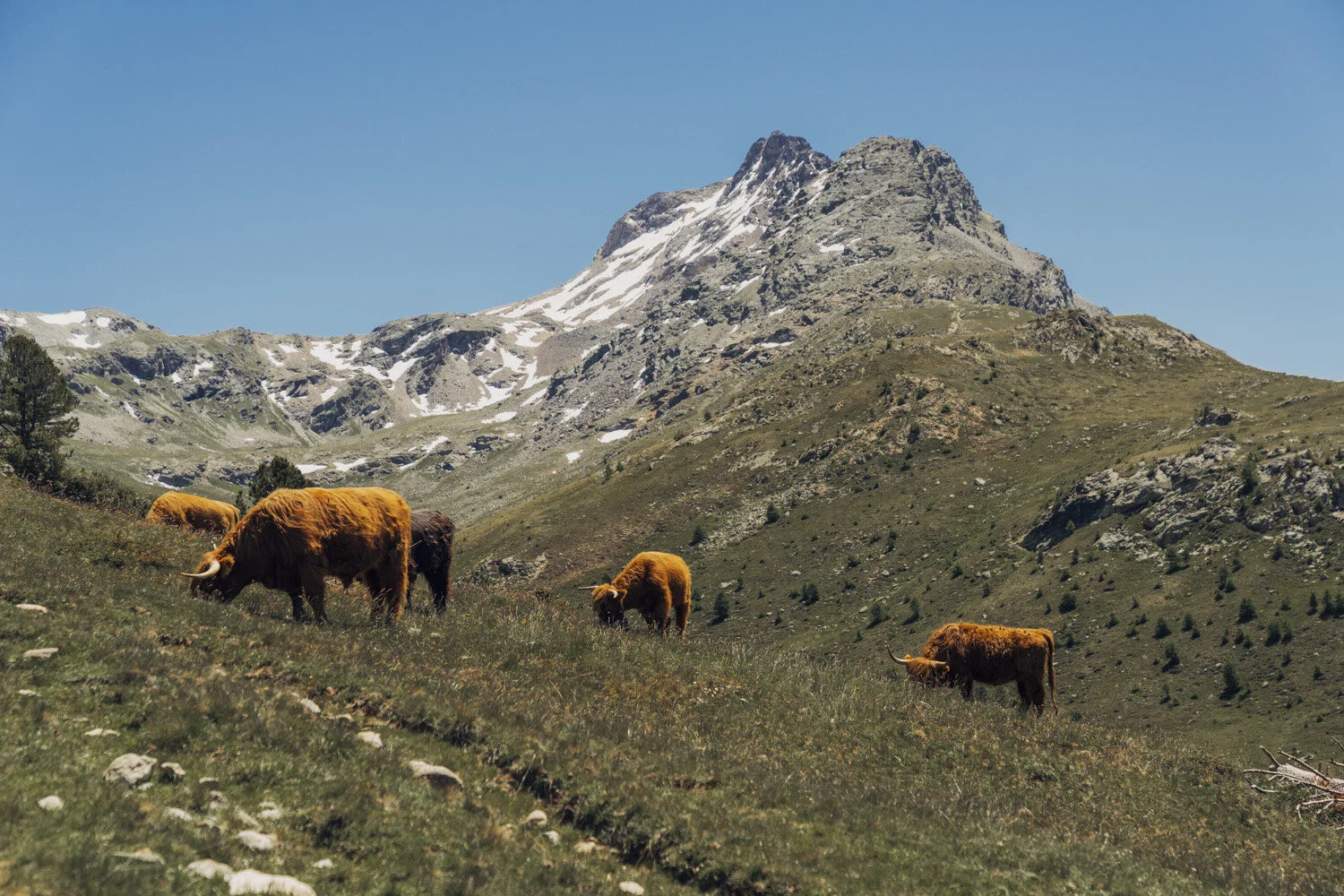 marekogien-MYSWITZERLAND-_2.JPG