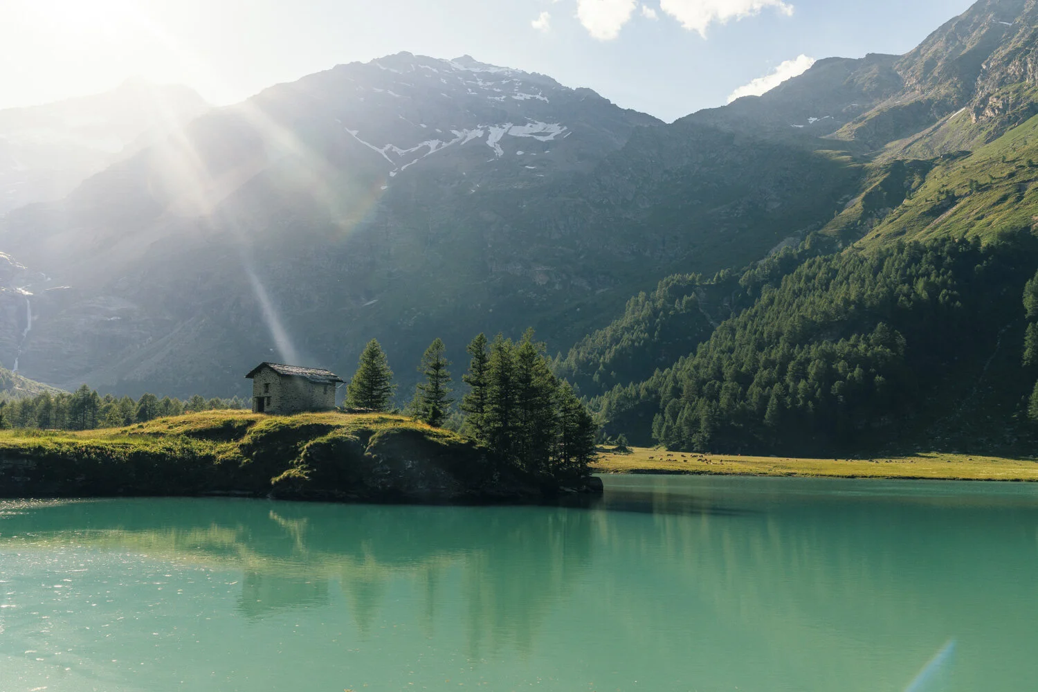 marekogien-MYSWITZERLAND-_29.JPG