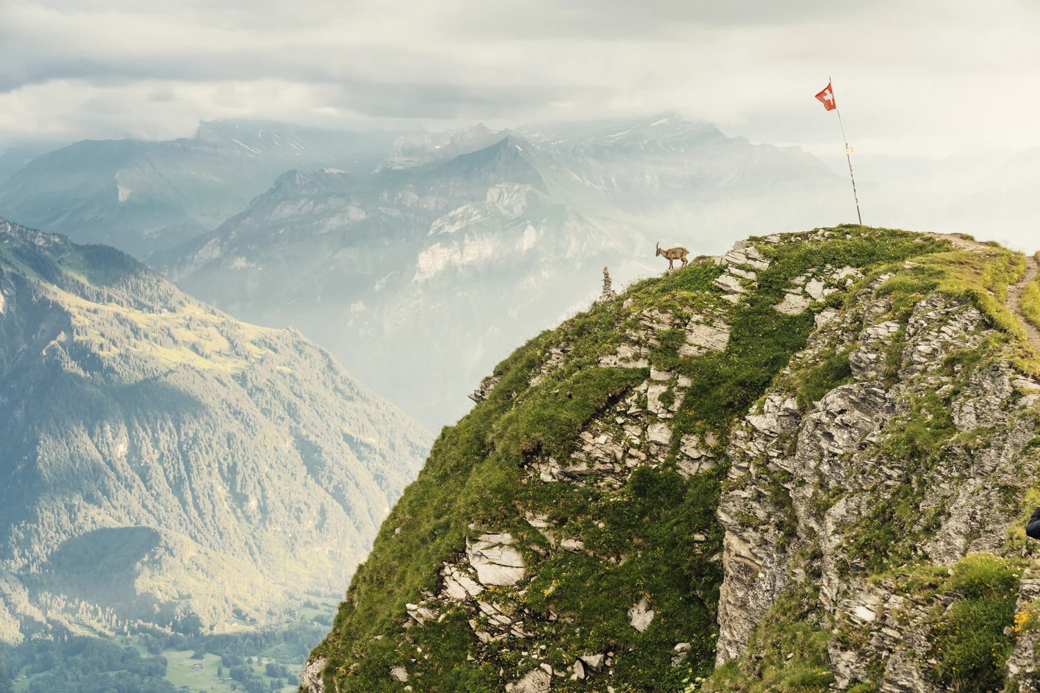 marekogien-MYSWITZERLAND-_105.JPG