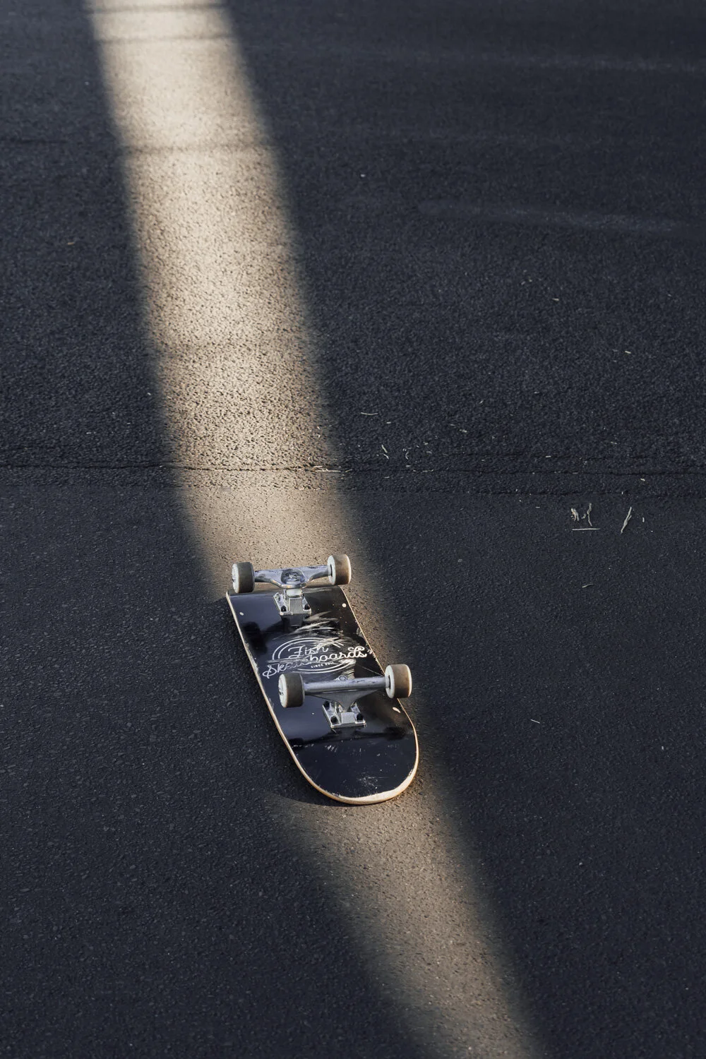 marekogien-fish-skateboards-05.JPG