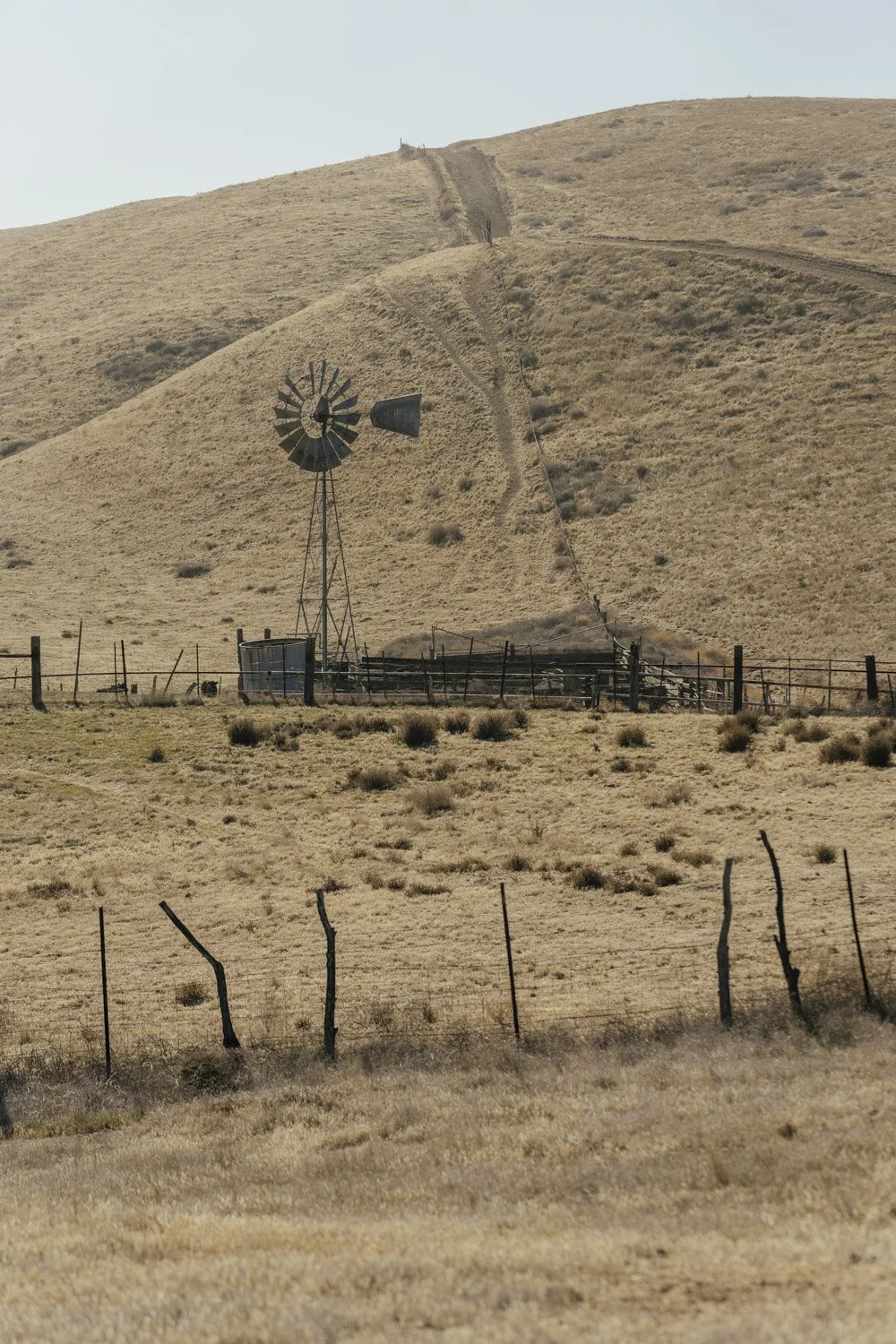 _DSC4586.JPG