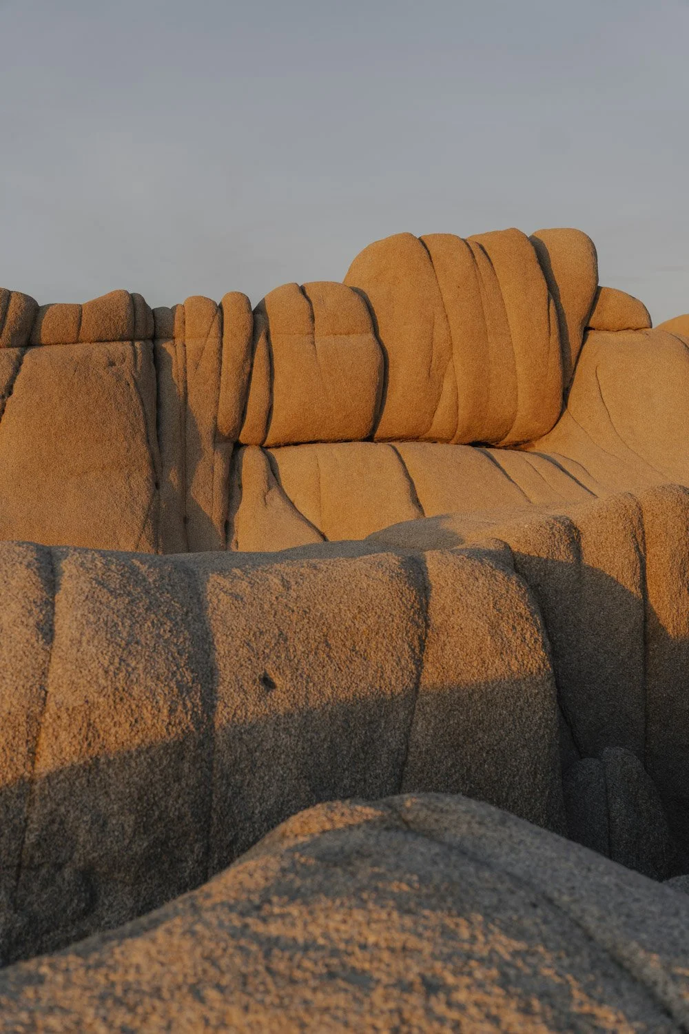 _DSC9703.JPG