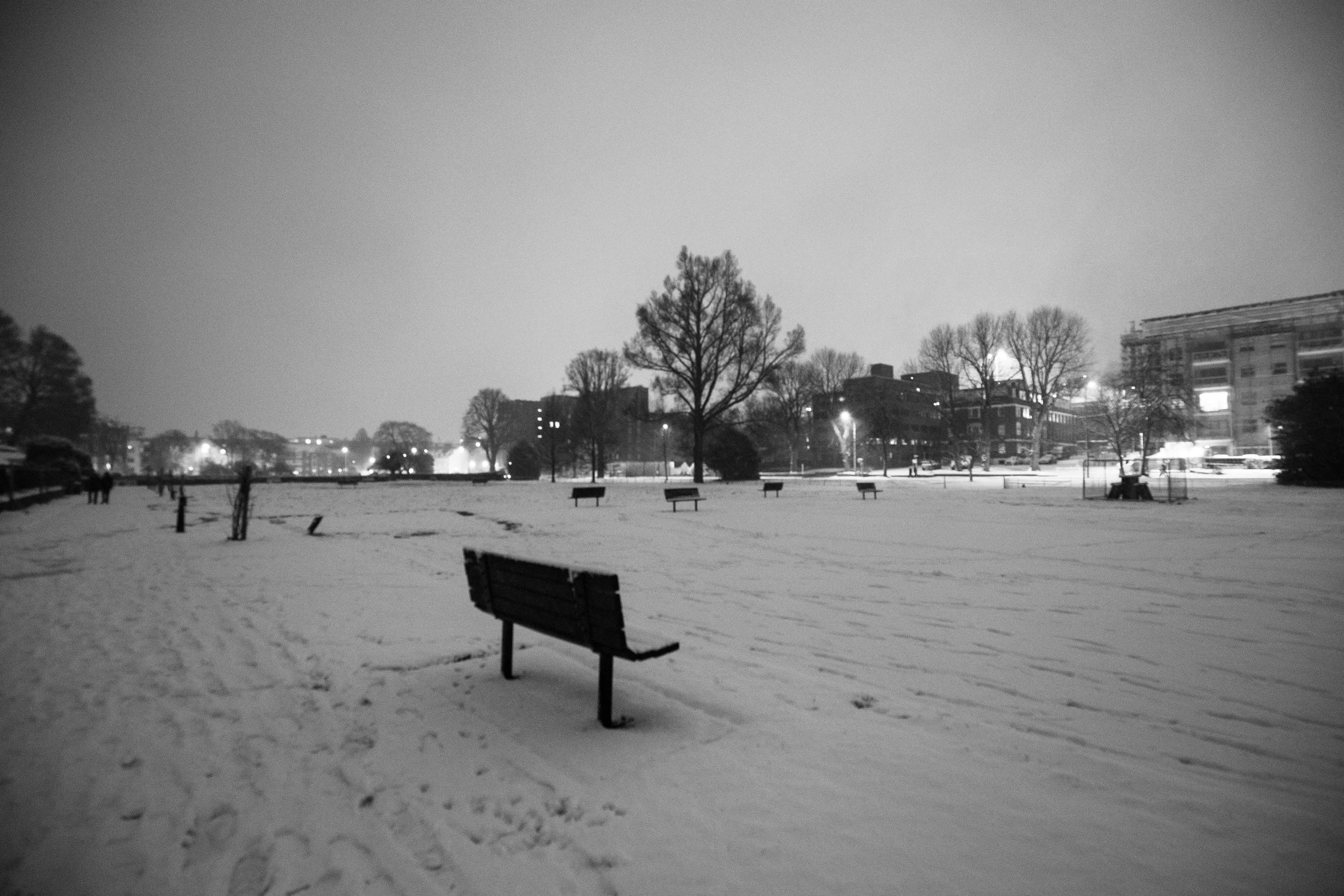 IMG_9082.jpg