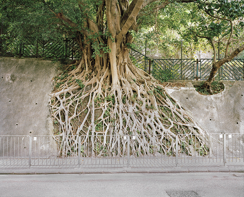 Kennedy Town, Hong KongArchival Inkjet Print16x20 2013