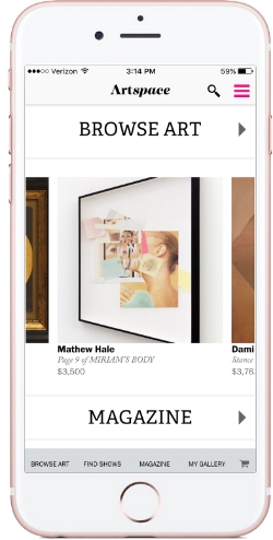 Screenshot via Artspace