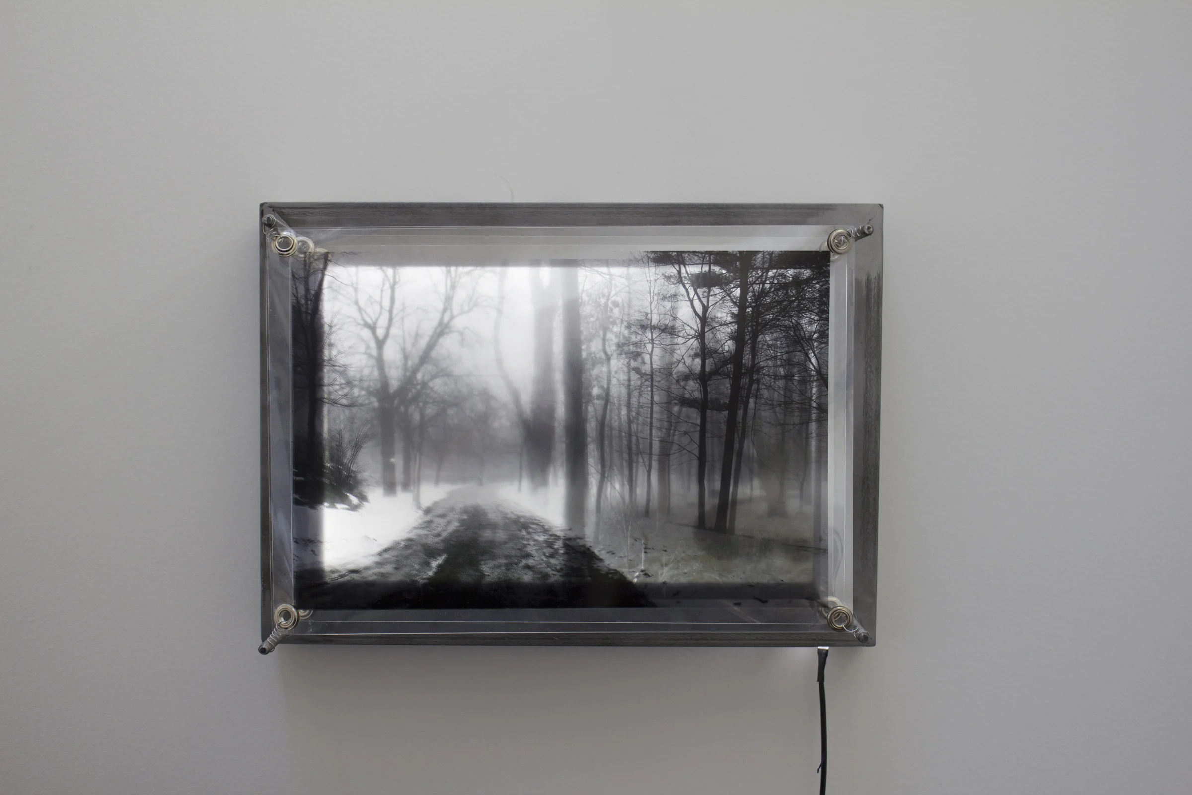 Two Sides of Self #1 , Pigment Prints on Acetate, Steel, Plexiglass, LED lights, 10" x 14" x 6", 2017
