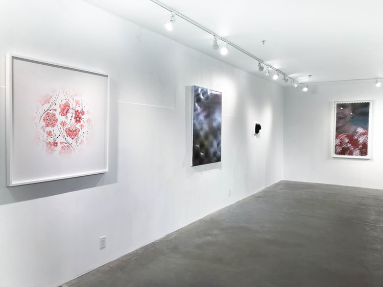 Installation View: The Awakening, November 2017