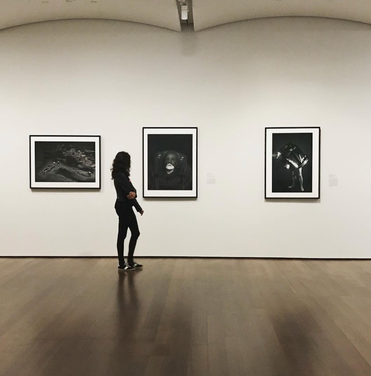 Photo courtesy of Harvard Art Museums instagram @harvardartmuseums