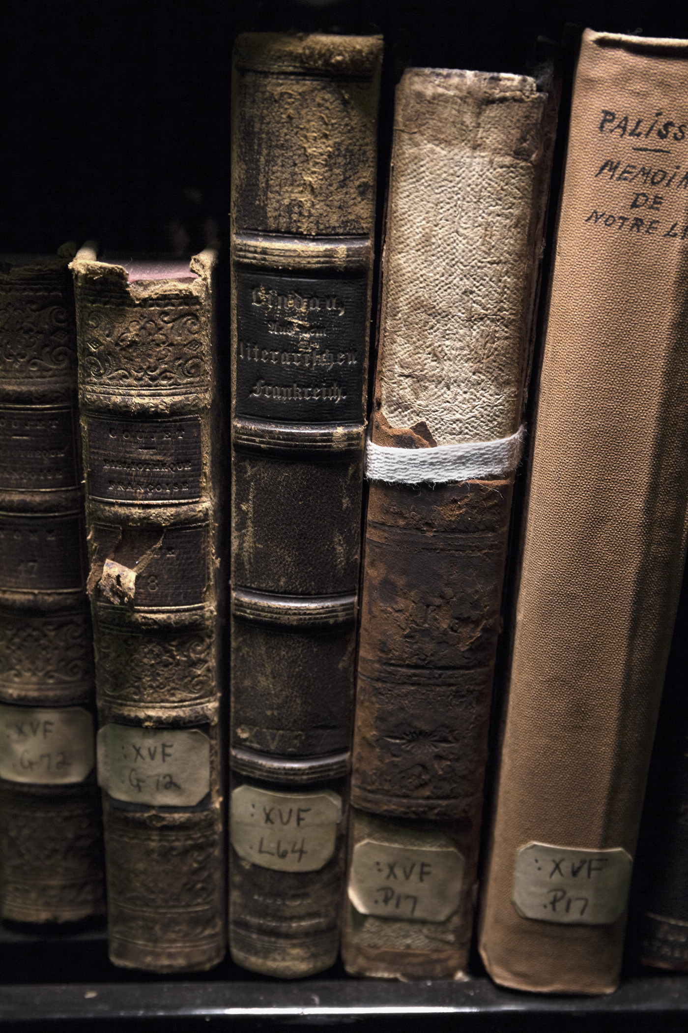 Kristina McComb, Boston Athenæum 1603, 2018, Photograph