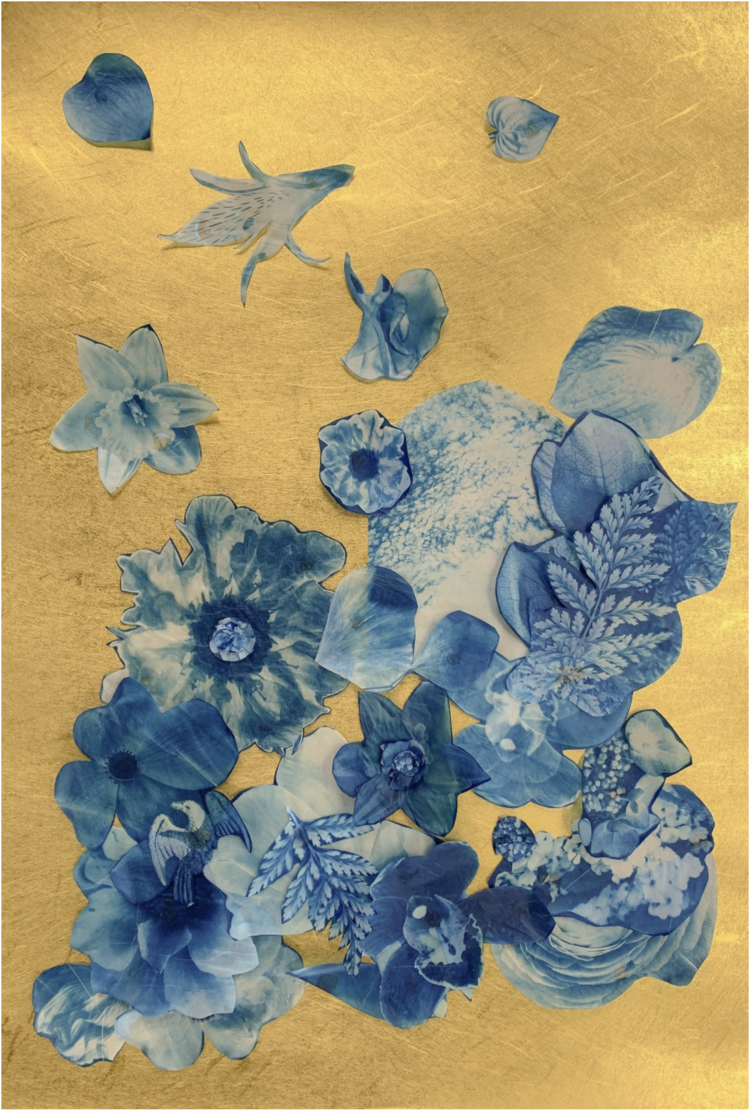 Susan Murie, Aurelia. Cyanotypes on gampi paper assembled on Japanese metallic paper. 31 x 21 in.