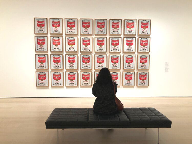 Andy Warhol, Campbell's Soup Cans, 1962, The Museum of Modern Art (NY), Photo by Abigail Ogilvy.