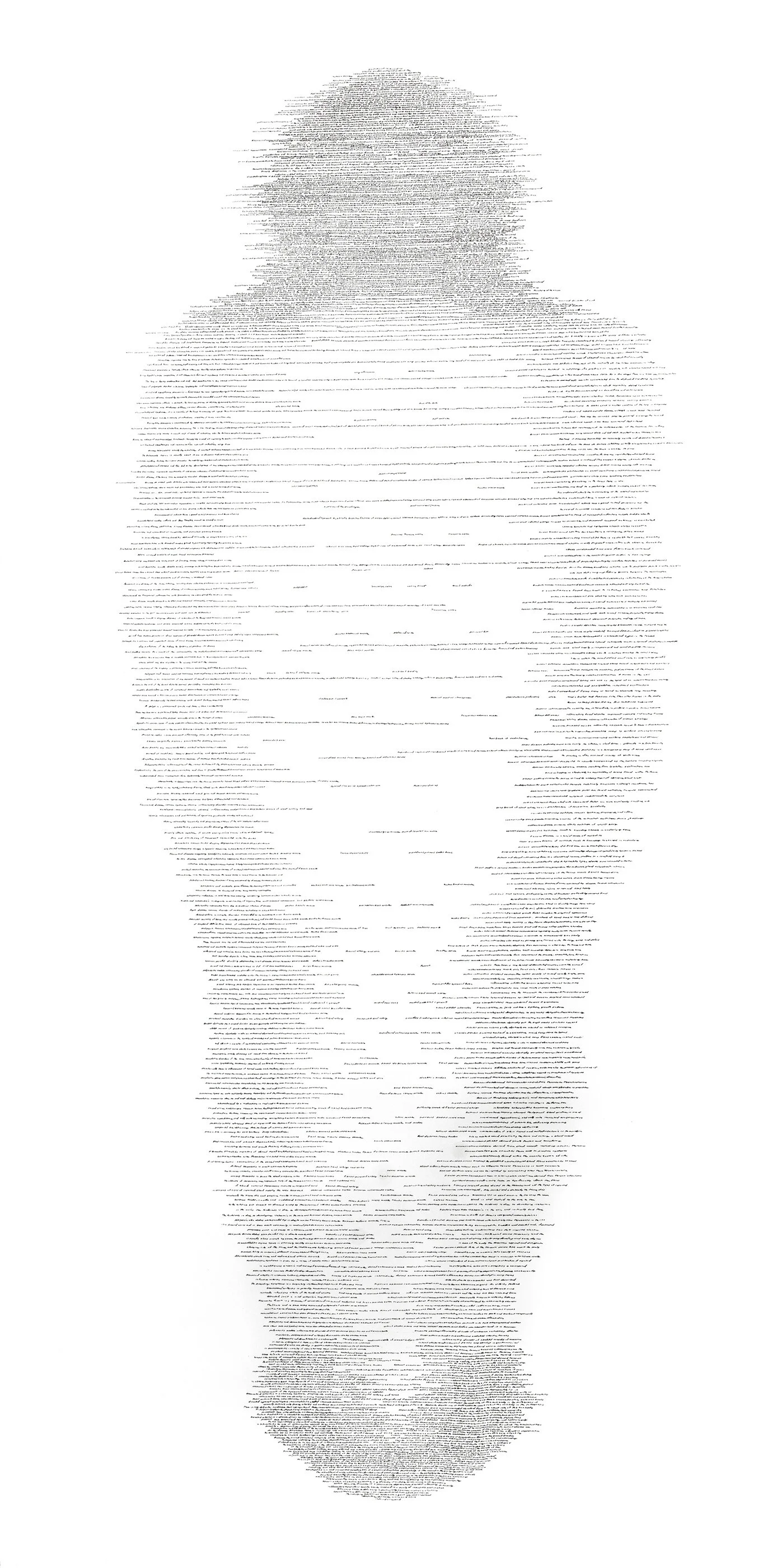 As Built Drawing V, 2013 Pencil on paper 100 x 50 in.