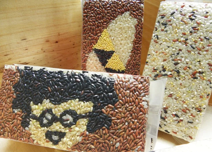 織羅舞米／米彩繪．養生米