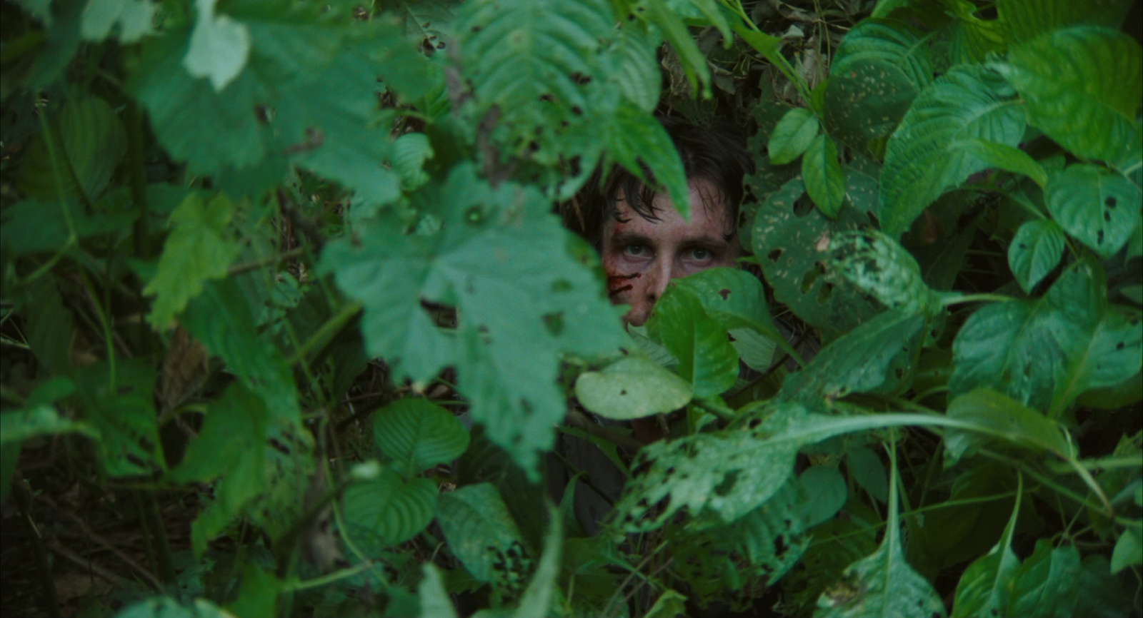 10 RESCUE DAWN.png