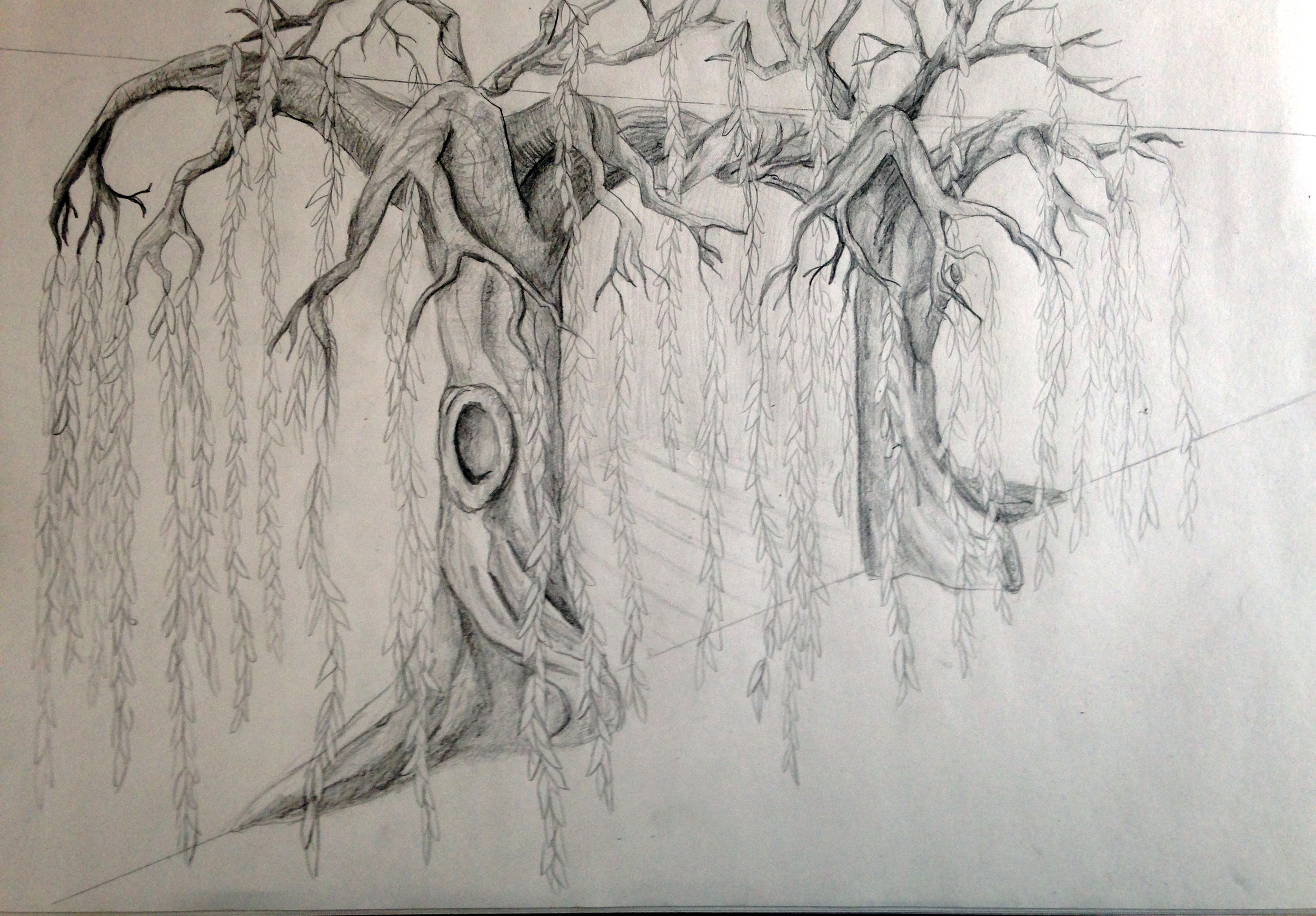 tree drawing 1.jpg