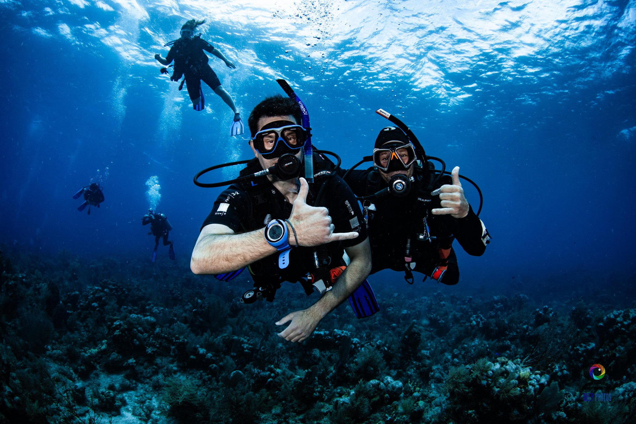 Divemaster vs Dive Instructor: What’s The Difference?