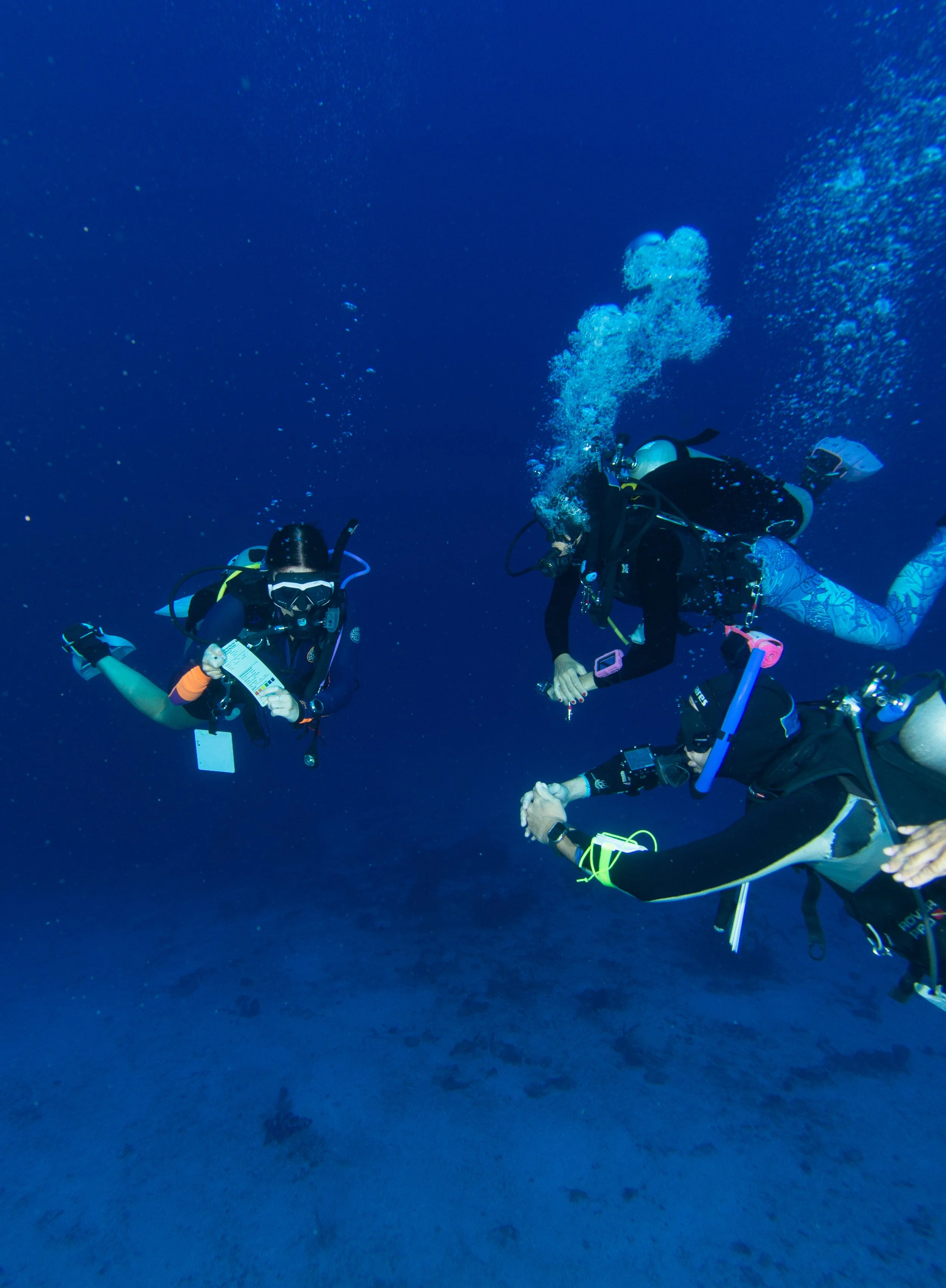 PADI IDC in the Caribbean