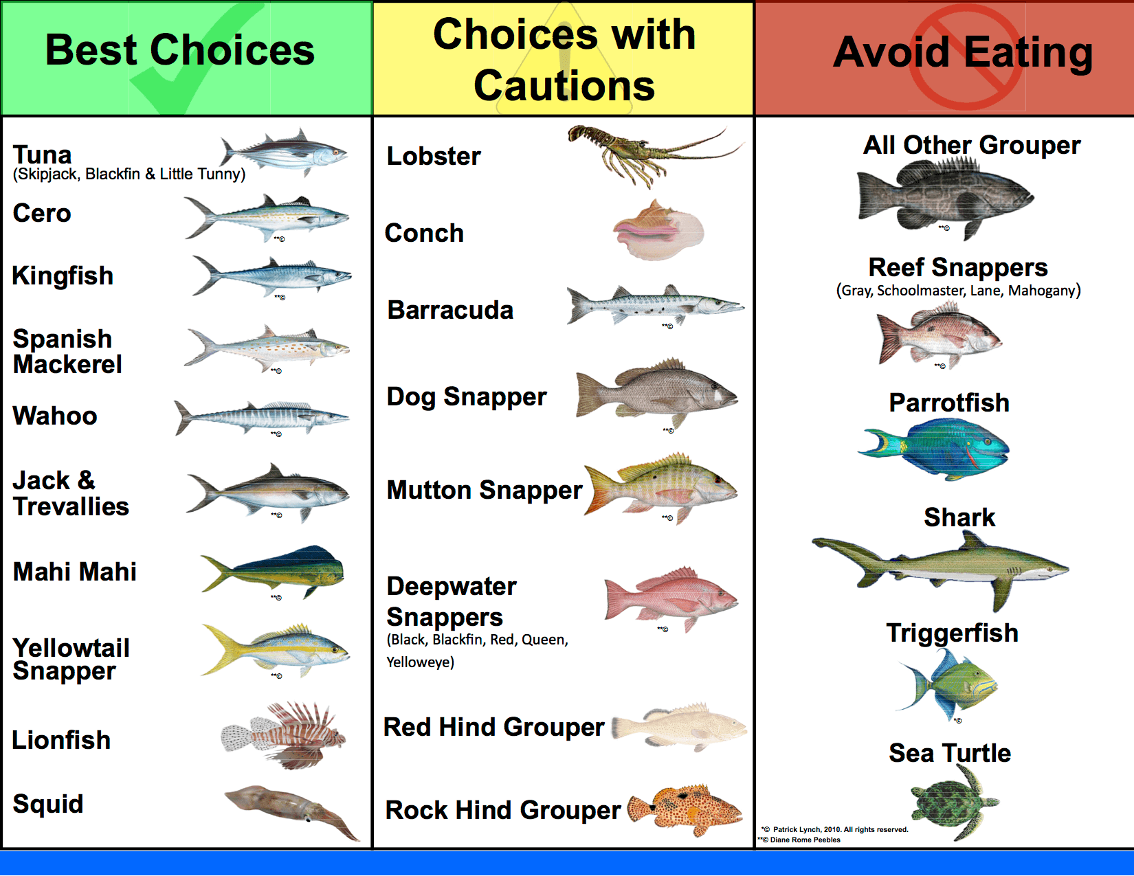 Bay-Islands-Seafood-Guide(2).png