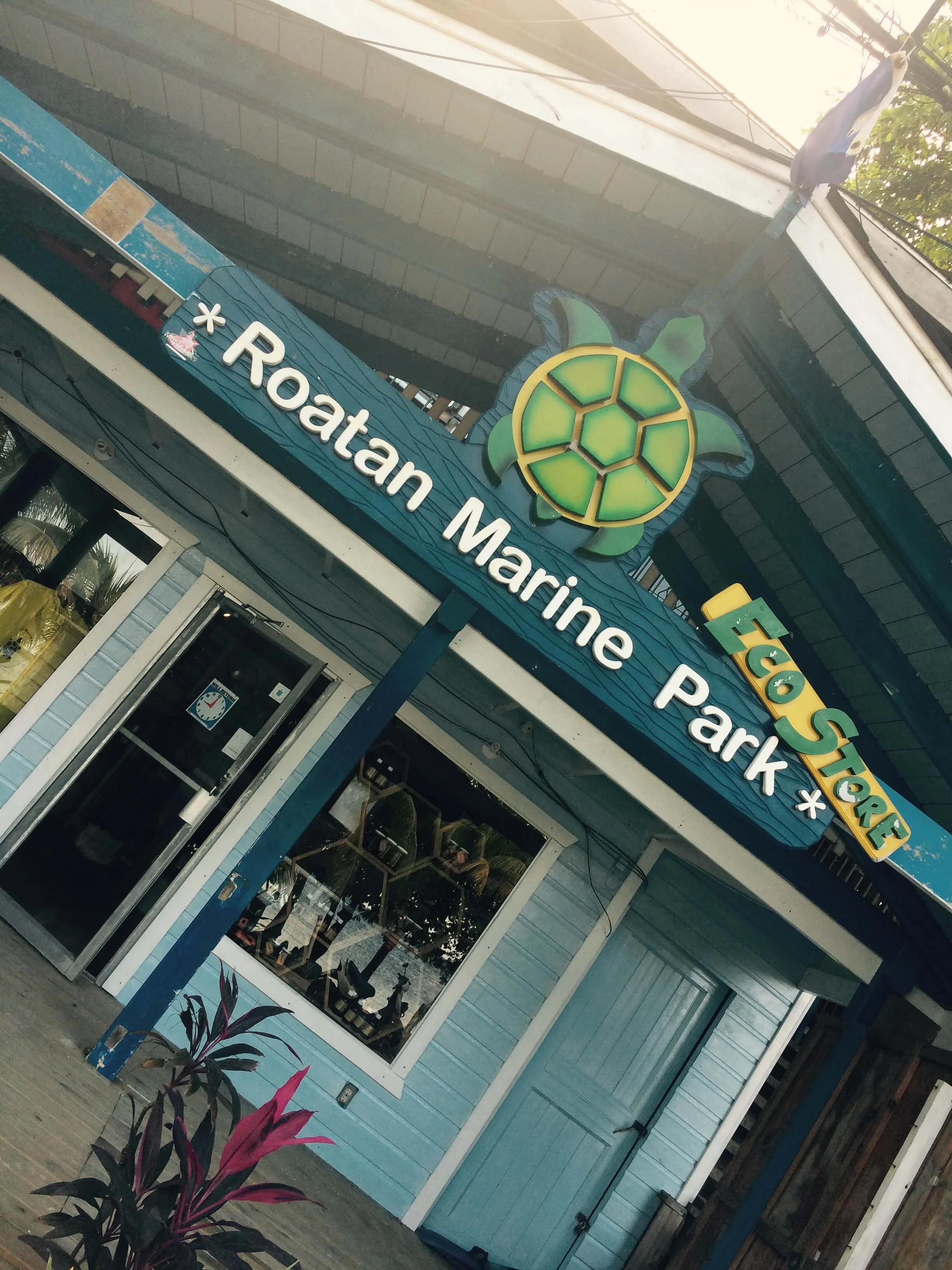 4 Cool Souvenirs from Roatan | Roatan Divers