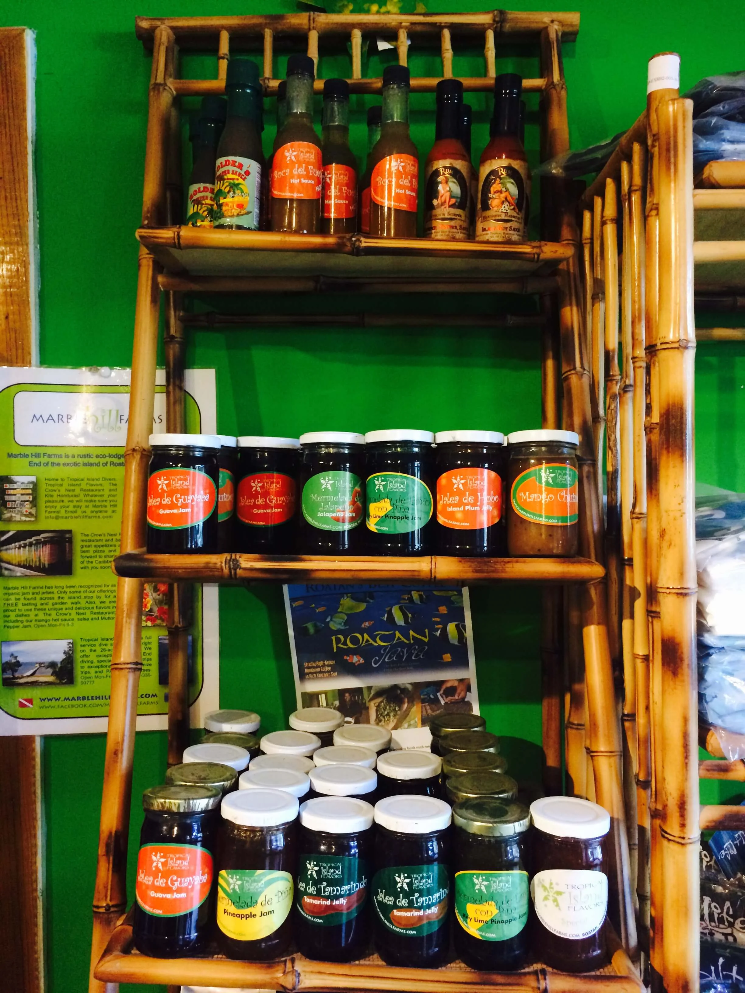 4 Cool Souvenirs from Roatan | Roatan Divers