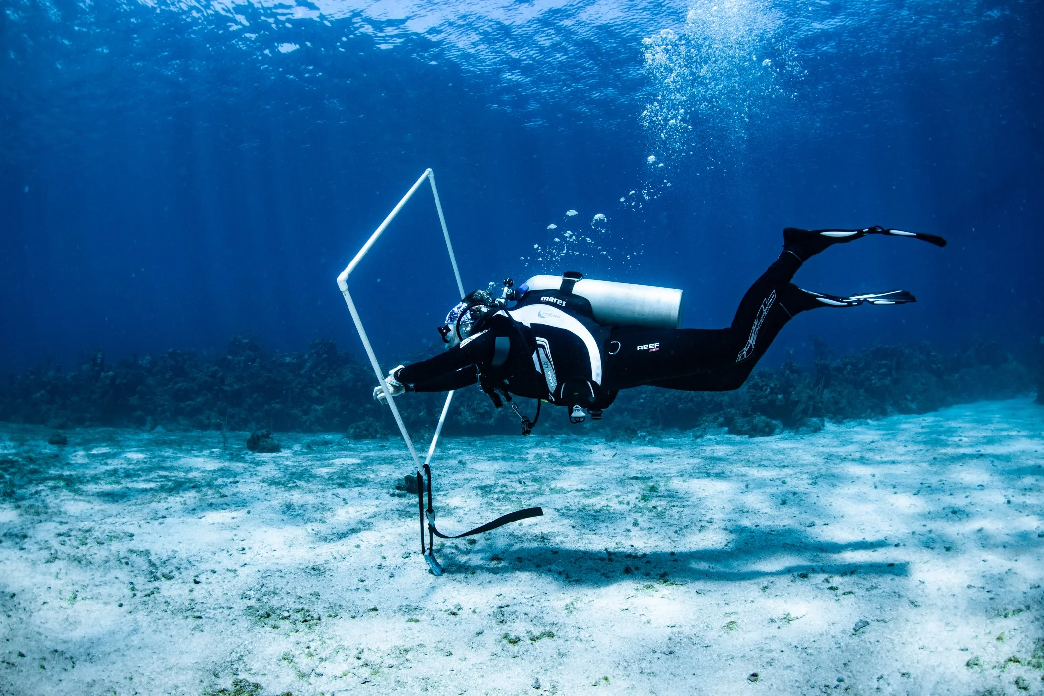 Peak Performance Buoyancy with Roatan Divers