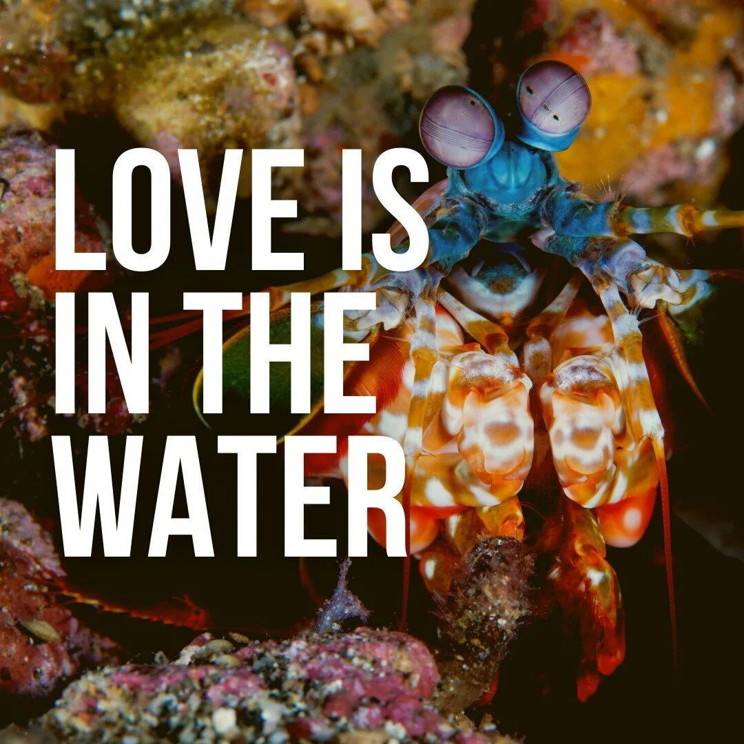 How Much Does It Cost to Stay in West End, Roatan for a Week? Roatan