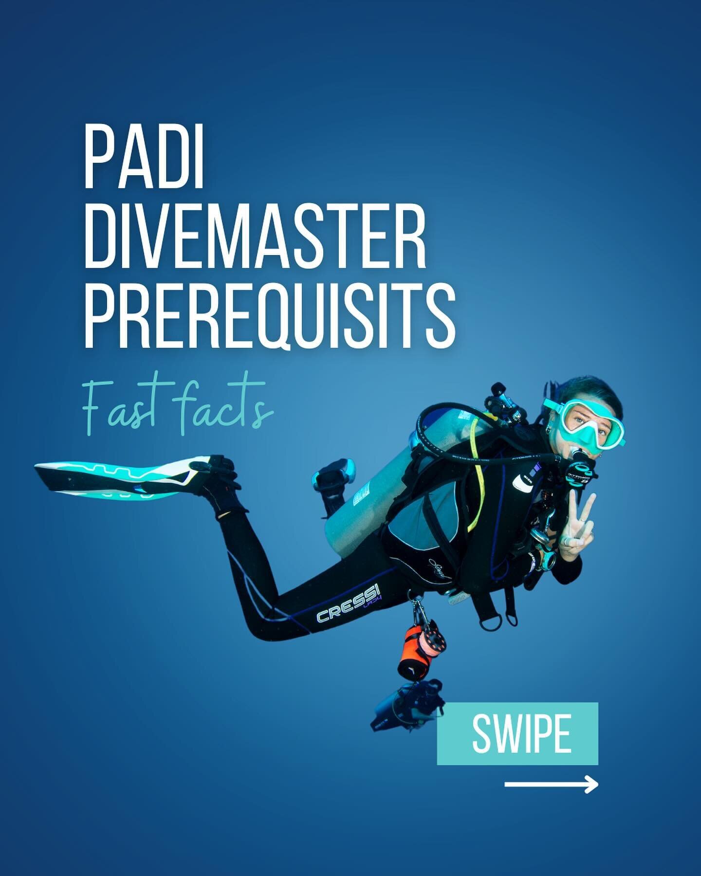 3 Important Rules for Proper Beach Etiquette Roatan Divers