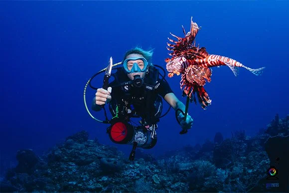 Lionfish Roatan RMP Lionfish Hunter Workshop | Roatan Divers