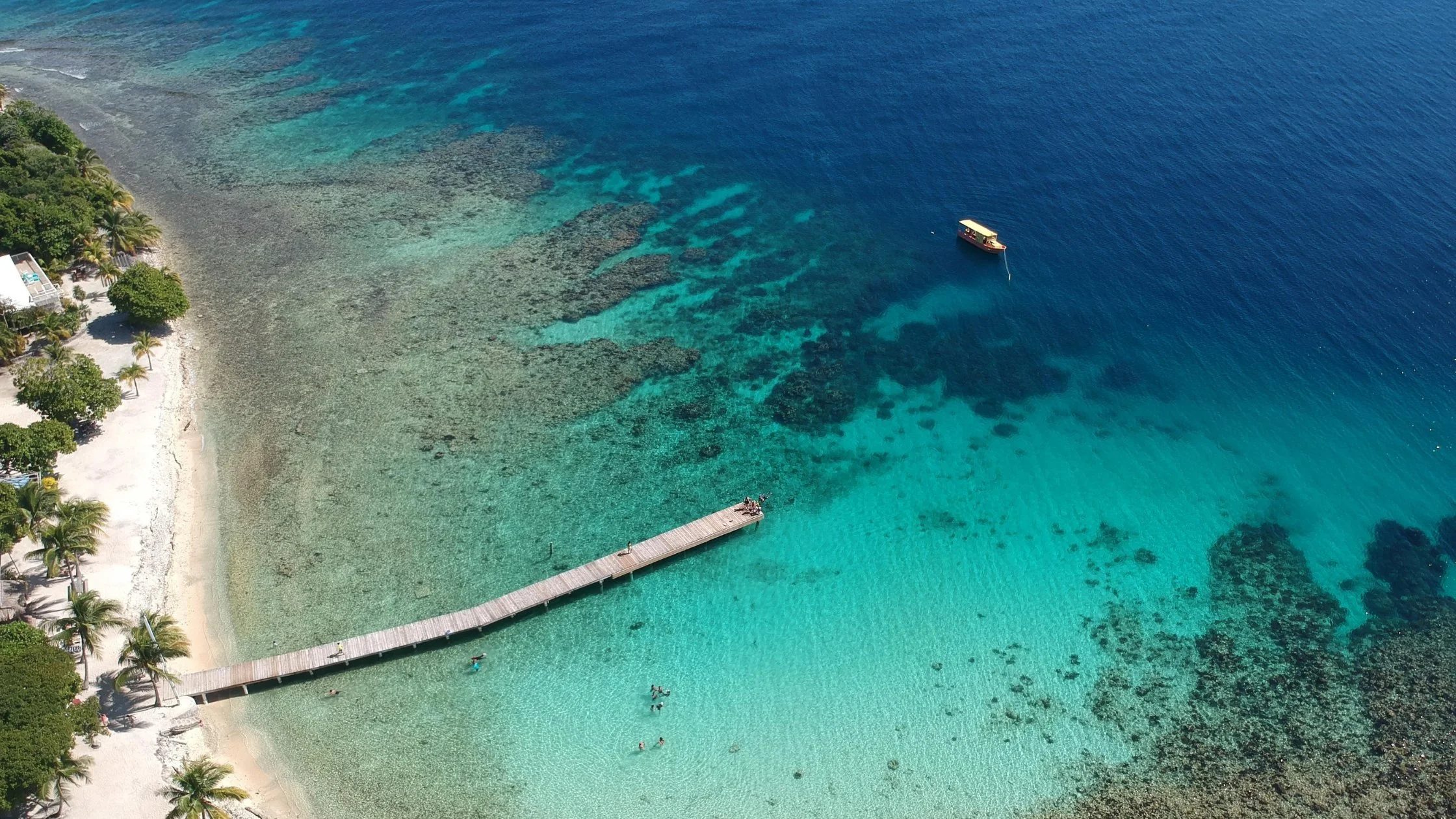 Why Roatan Is the Perfect Gap Year Destination for Europeans