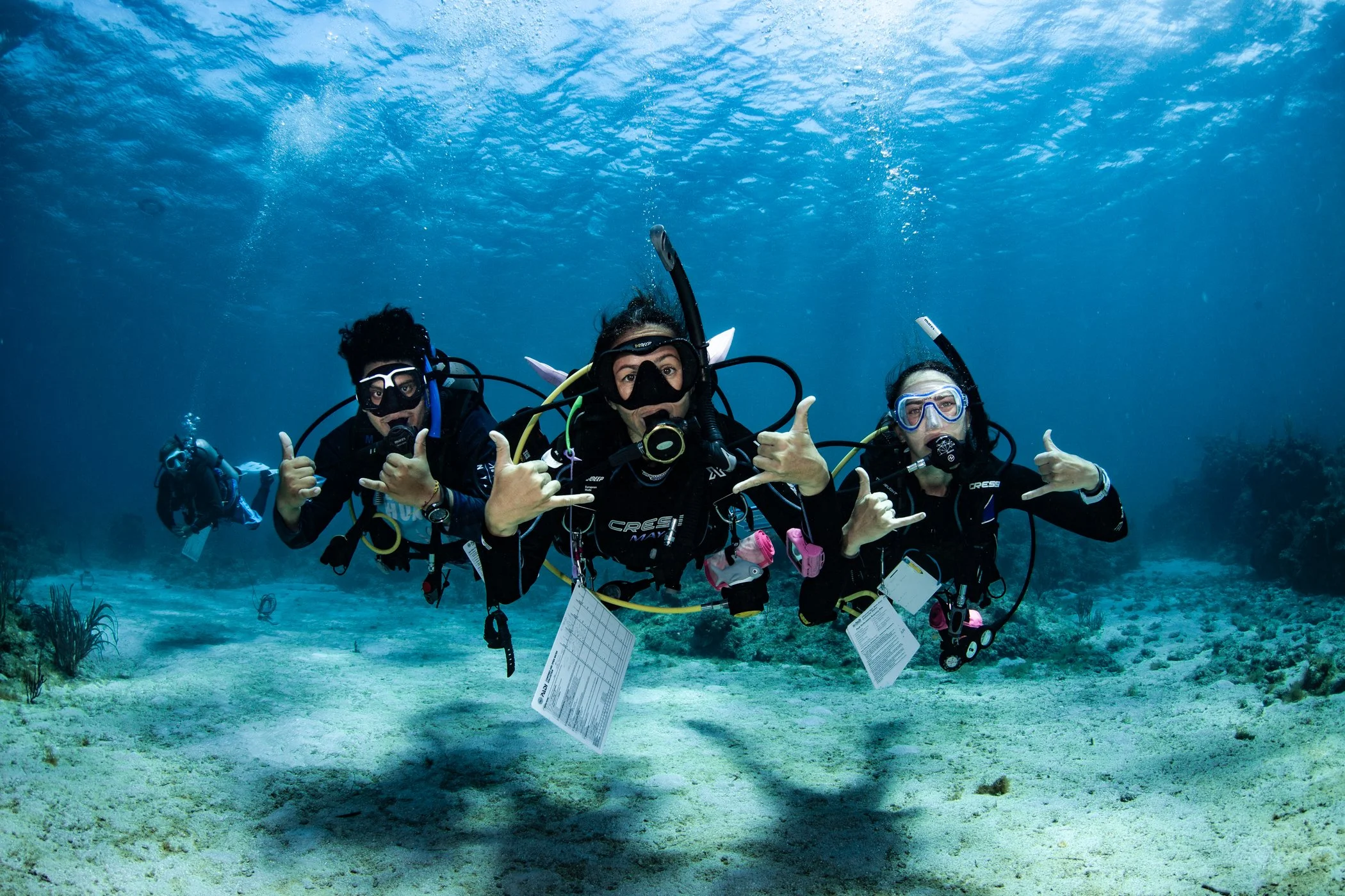 5 Reasons to do your PADI IDC in Roatan