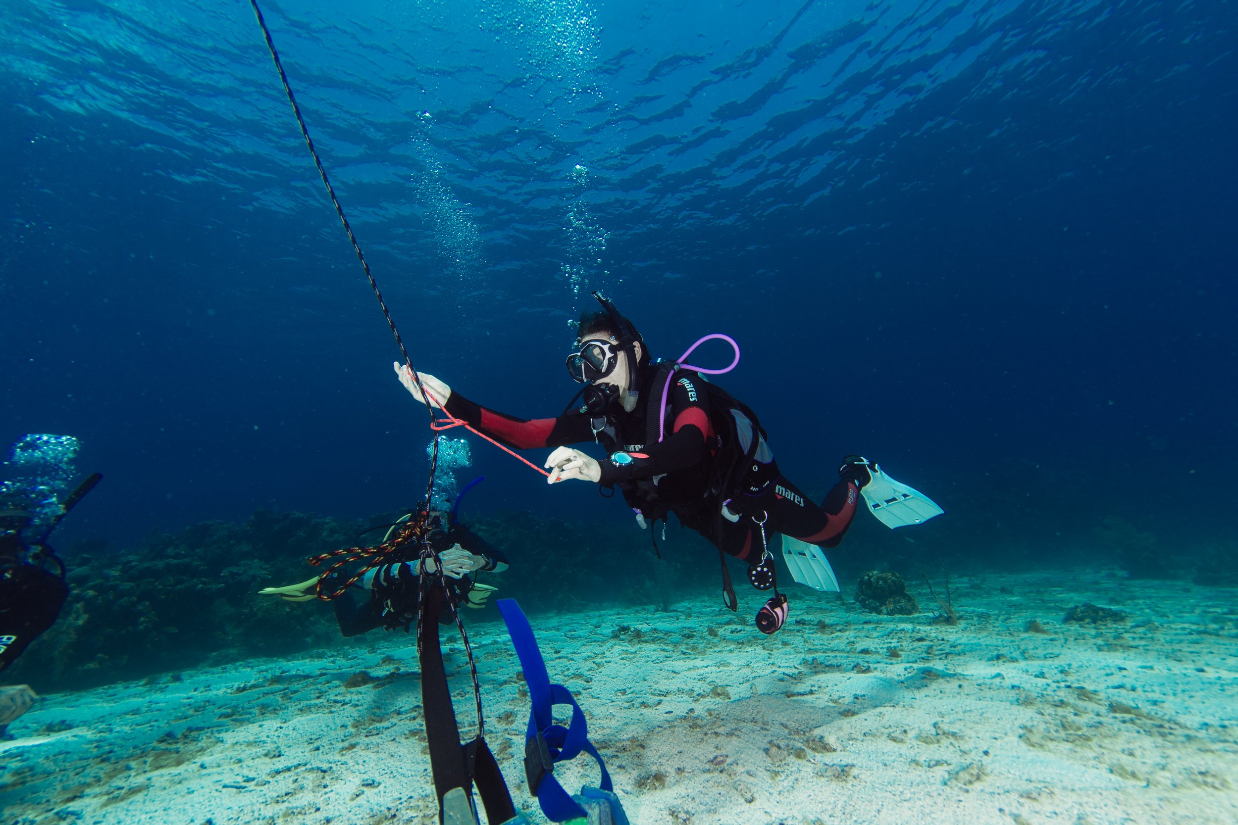 PADI IDC in the Caribbean: Become a PADI Instructor in Roatan